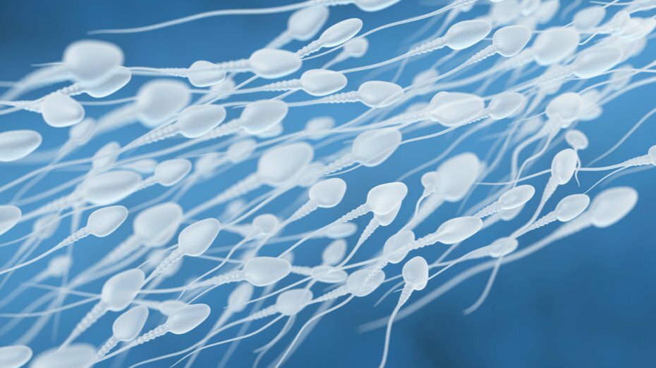 Sperm Bozukluğu