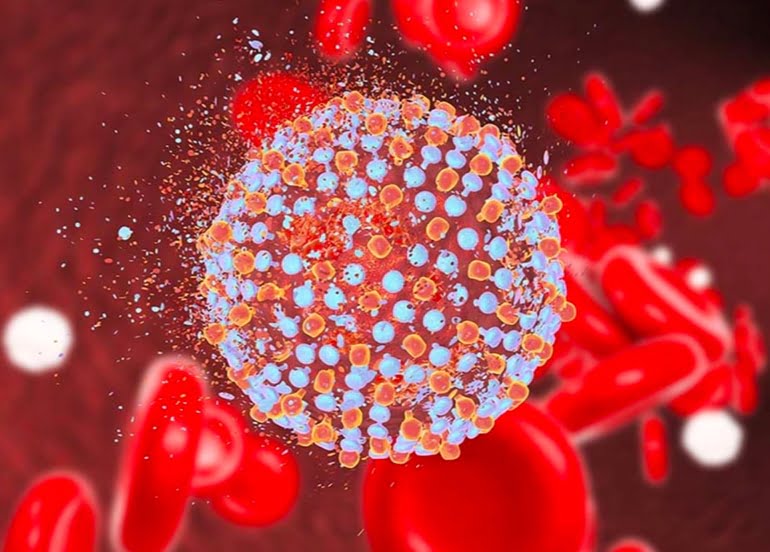 Tüp Bebekte Hepatit B ve C Virüsü