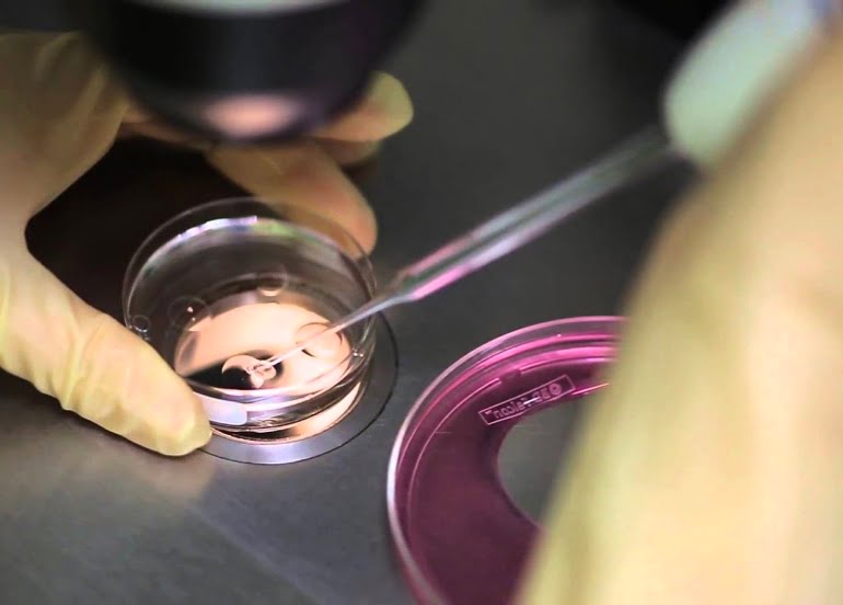 Embriyo Transferi Sonrası Gebelik Ne Zaman Sonuçlanır?