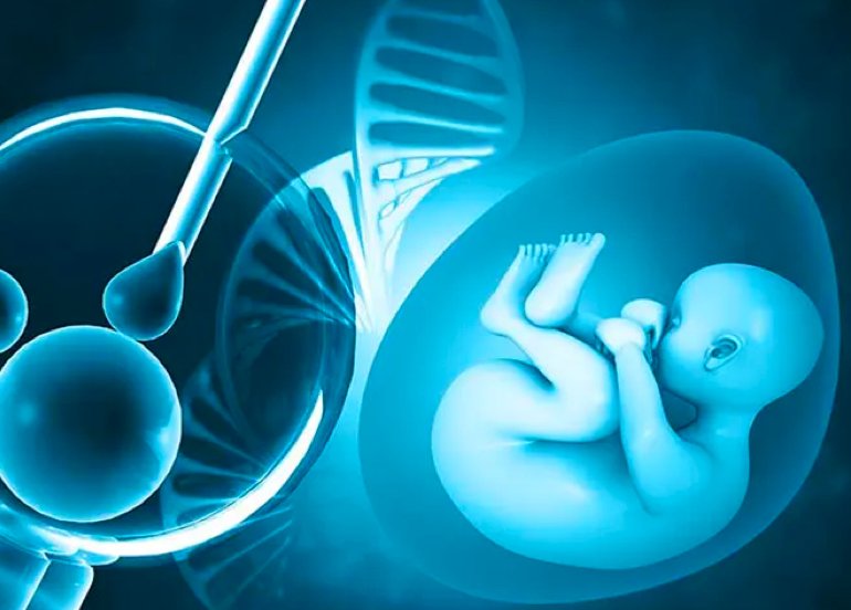 Klasik Tüp Bebek (IVF) Nedir?