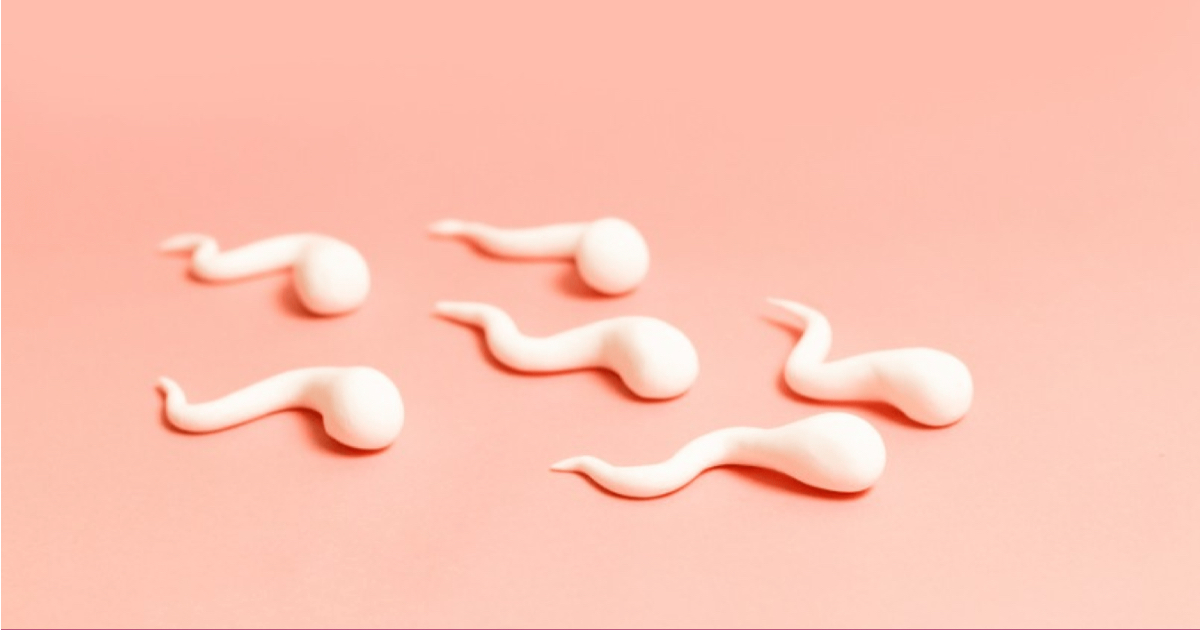 Sperm Detoksu Nedir?