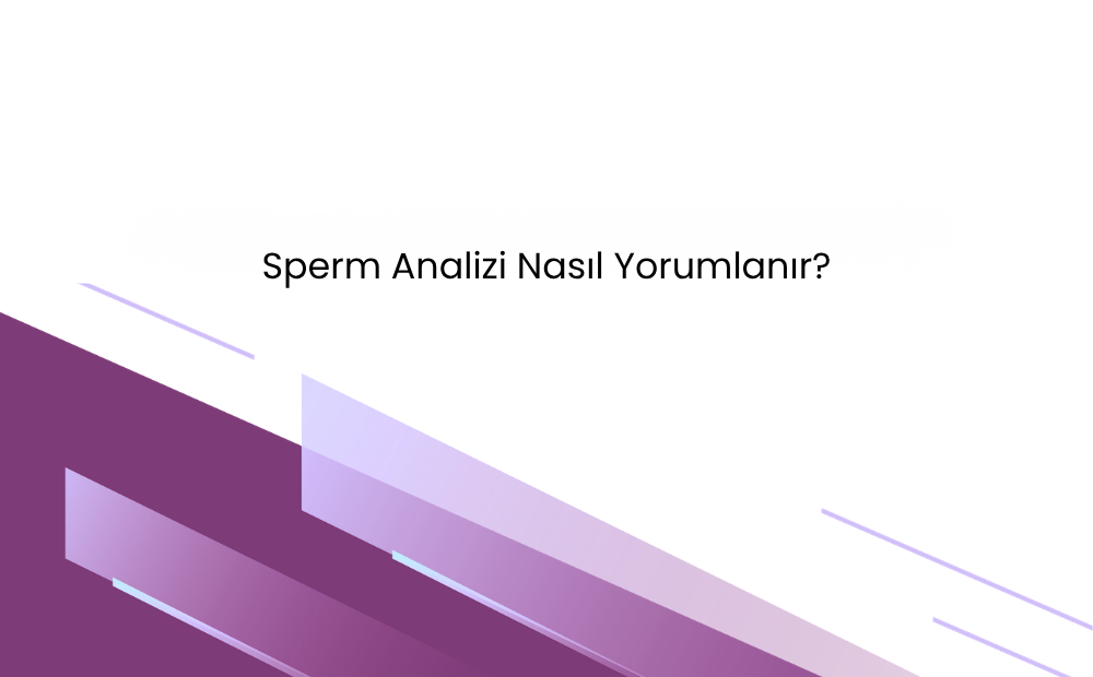 Sperm analizi sonuçlarının nasıl yorumlandığını anlatan bilgilendirici blog görseli